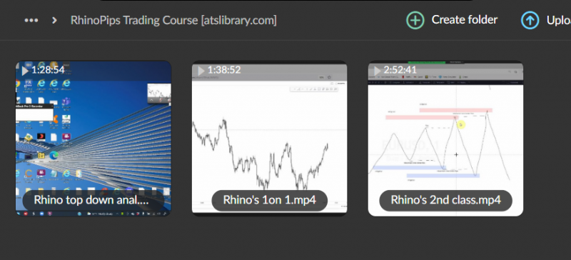 RhinoPips Trading Course