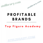 Top Figure Academy – Profitable Brands