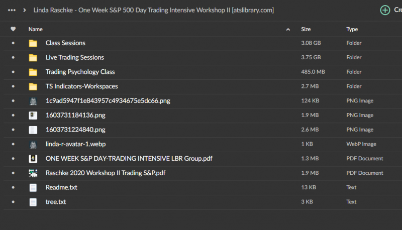 Linda Raschke - One Week S&P 500 Day Trading Intensive Workshop II
