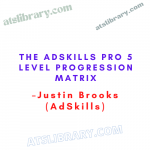 Justin Brooks (AdSkills) – The AdSkills Pro 5 Level Progression Matrix