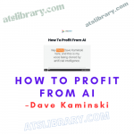 Dave Kamiski - How to Profit from AI